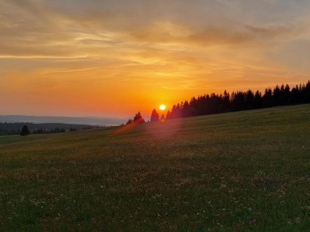 Landgasthof Neitsch Schwarzenberg  Exterior photo