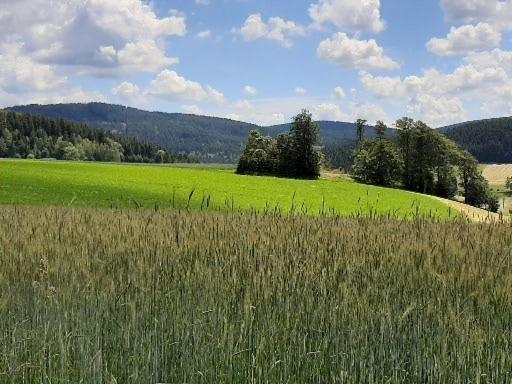 Landgasthof Neitsch Schwarzenberg  Exterior photo